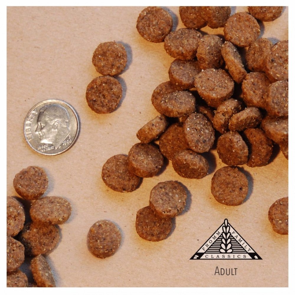 Fromm Classic Adult Dog Food 2 Fromm Classic Adult Dog Food - Image 2