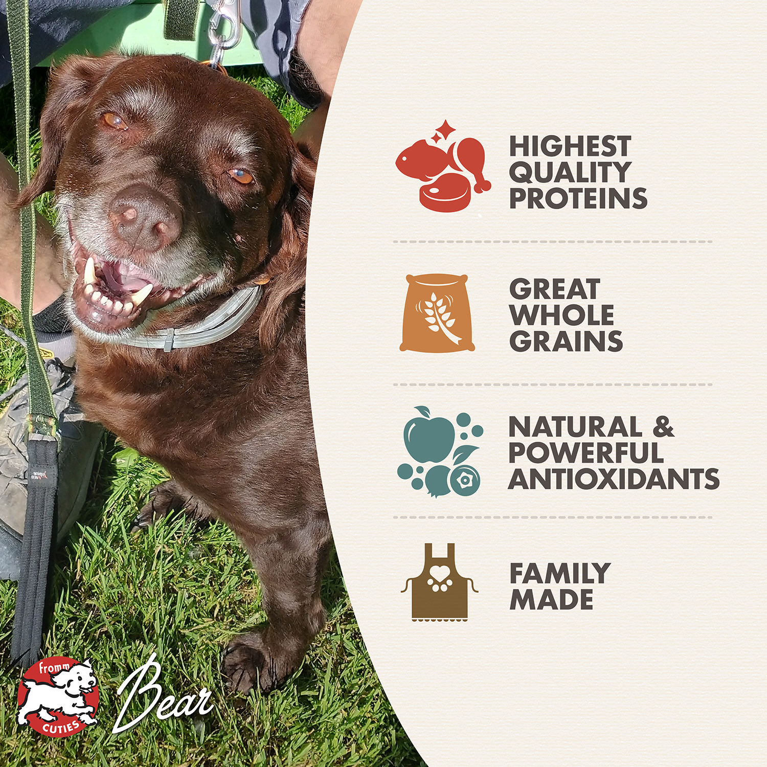 Fromm Classic Adult Dog Food 6 Fromm Classic Adult Dog Food