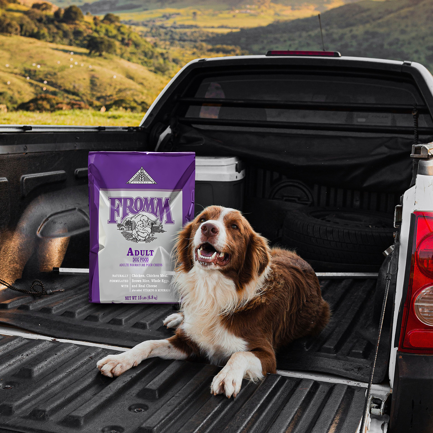 Fromm Classic Adult Dog Food 7 Fromm Classic Adult Dog Food