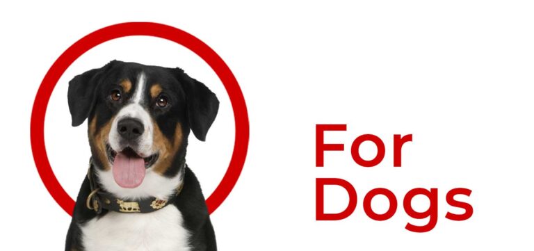 BUCKAROOS-DOGCARE-SHOP