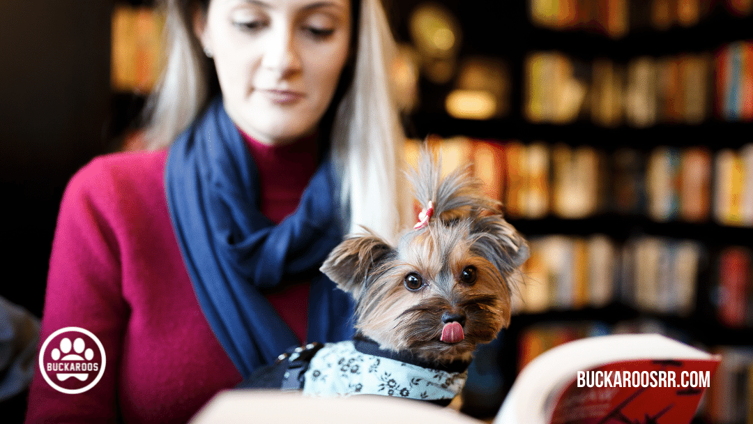 8 Prize-winning Halloween dog costume Photo opportunities 5 halloween dog costume