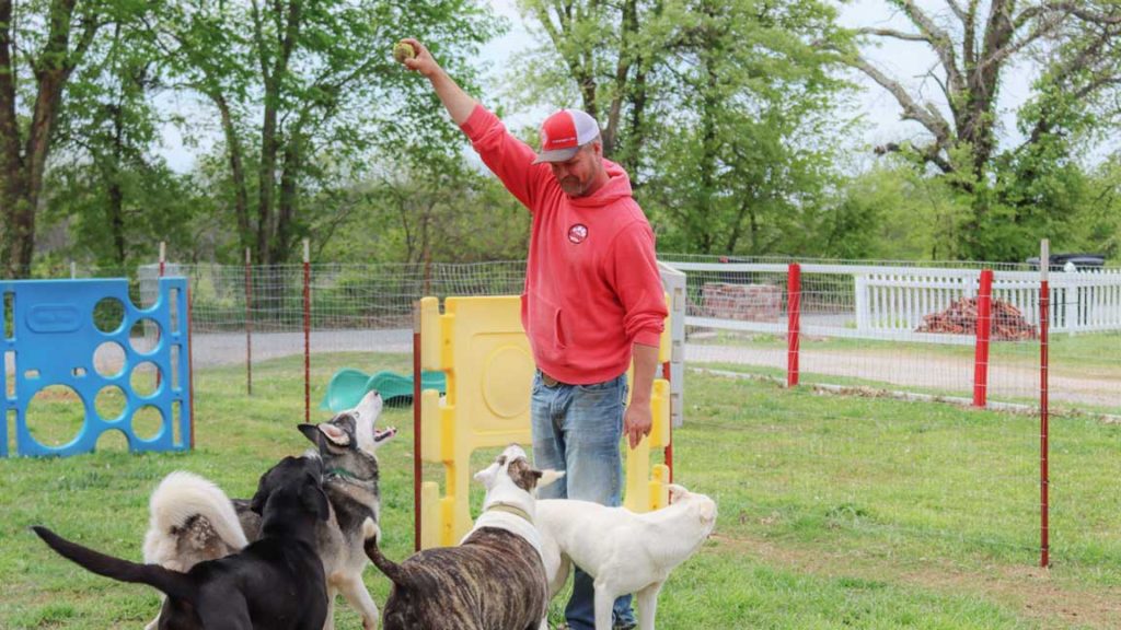 Dog Boarding in Ada, Oklahoma