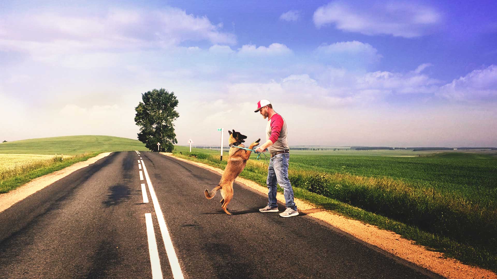 Dog Training in Oklahoma, Dog Boarding in Oklahoma, Dog Daycare in Oklahoma