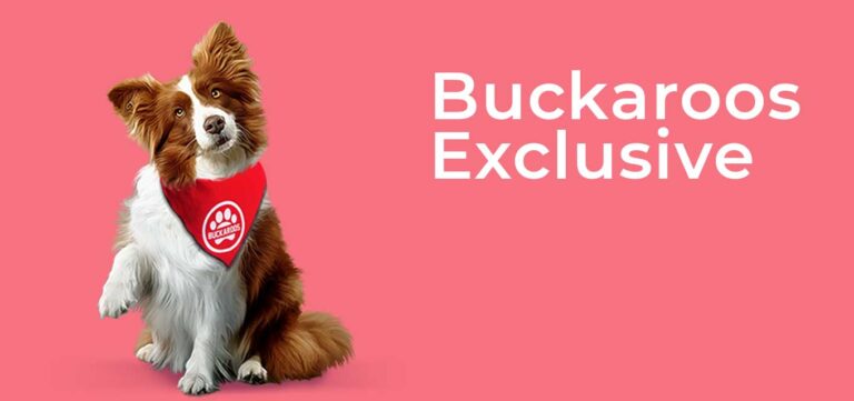 buckaroos-exclusive