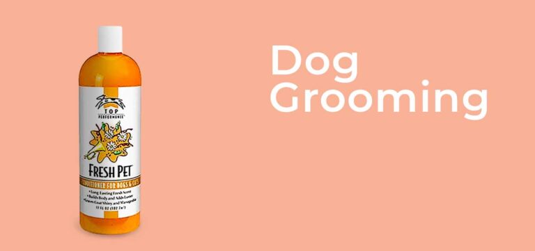 dog-natural-shampoo