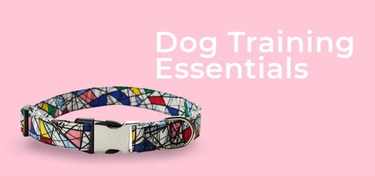 dog-training-products