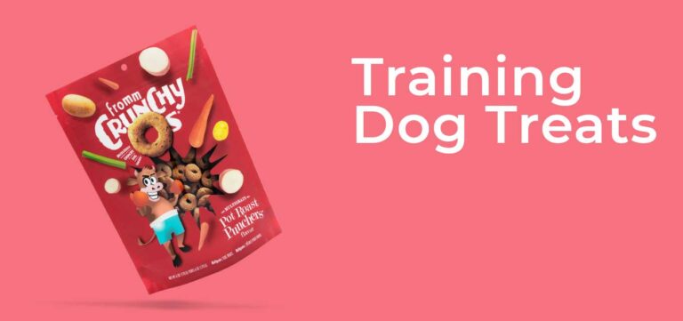 dog-treat