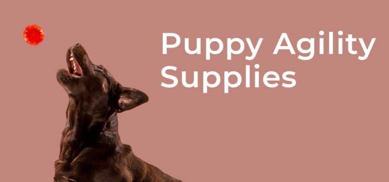 puppy-agility-supplies