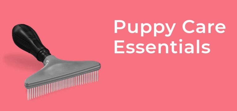 puppy-care-essentials