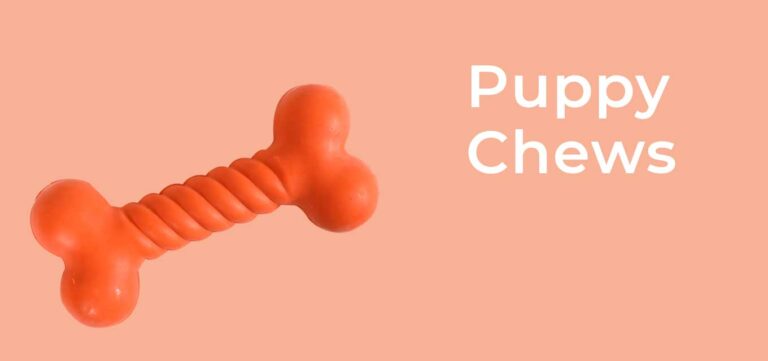 puppy-chews