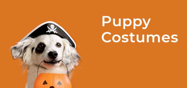 puppy-costume