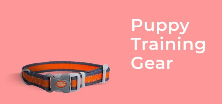 puppy-training-gear