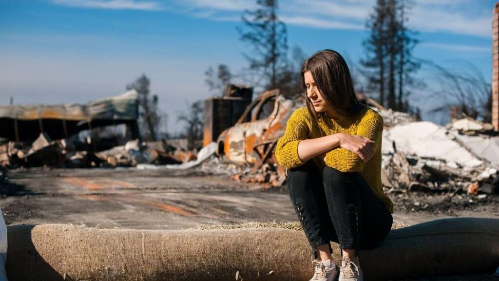 10 Ways To Prevent Losing Your Dog When Disaster Strikes 1 10 Ways To Prevent Losing Your Dog When Disaster Strikes https://360dogcare.com/2022/06/25/losing-your-dog-when-disaster-strikes/