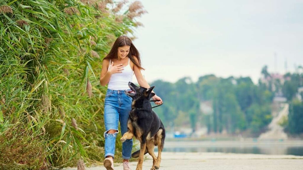 10 Ways To Prevent Losing Your Dog When Disaster Strikes 4 10 Ways To Prevent Losing Your Dog When Disaster Strikes https://360dogcare.com/2022/06/25/losing-your-dog-when-disaster-strikes/