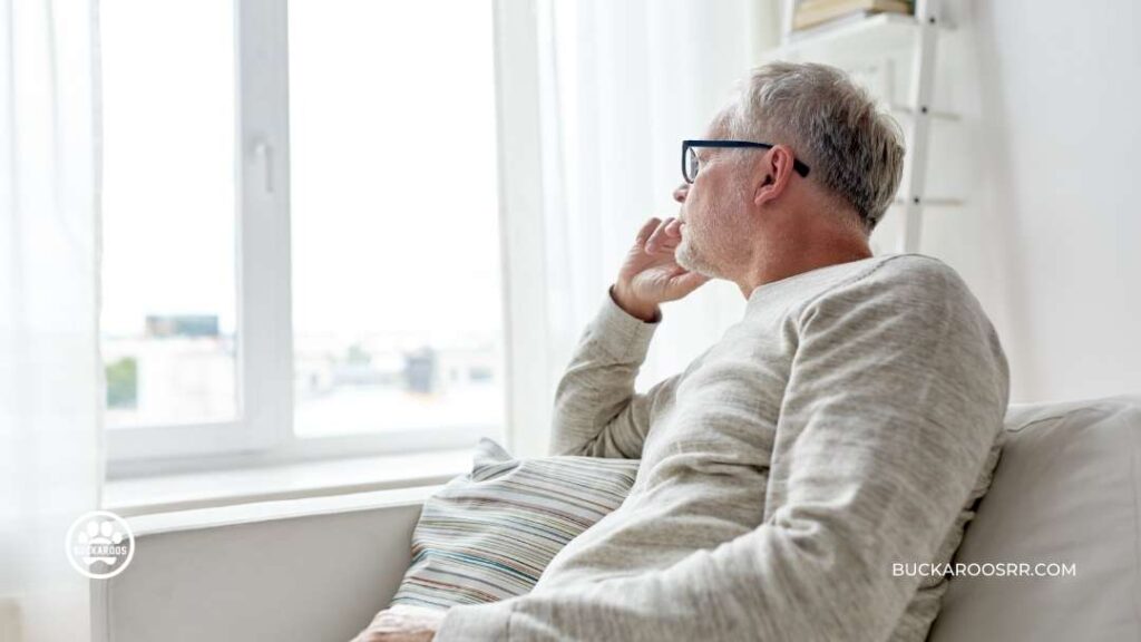 Dealing With The Stages Of Grief Of Losing The Family Dog 5 Dealing With The Stages Of Grief Of Losing The Family Dog