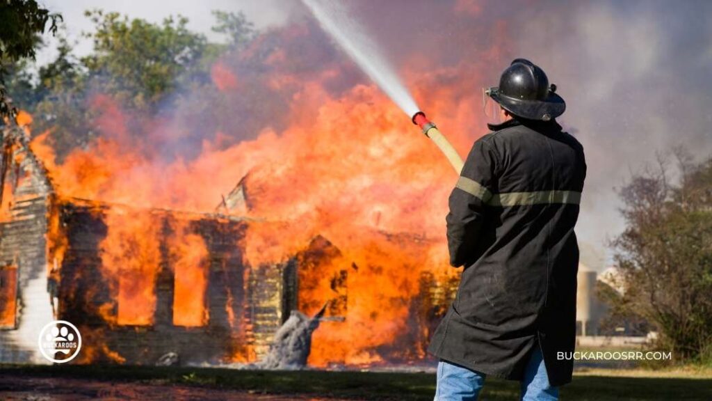 6 Preventive Steps For National Pet Fire Safety Day! 12 Pet Fire Safety