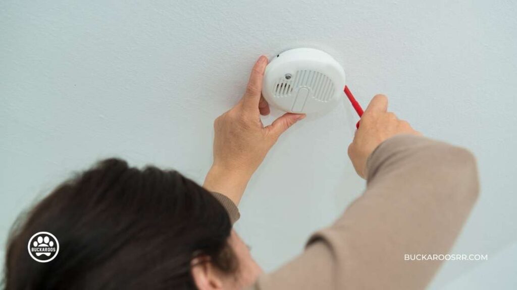 6 Preventive Steps For National Pet Fire Safety Day! 2 Pet Fire Safety