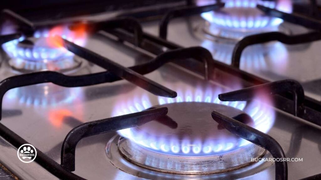 6 Preventive Steps For National Pet Fire Safety Day! 4 Pet Fire Safety
