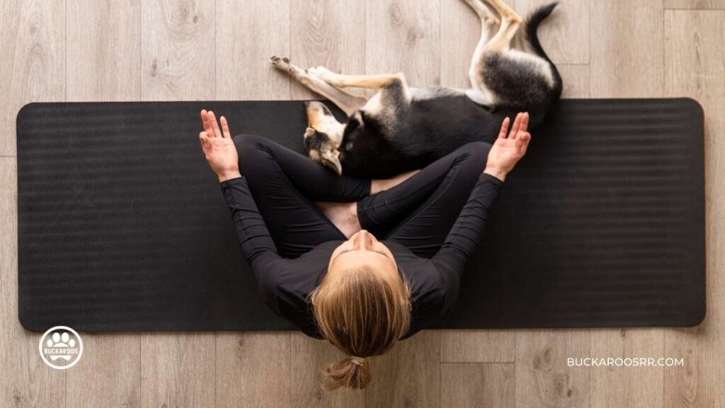 8 ways to prepare your dog for fireworks on the 4th of July, 2022. 5 safe place for dogs during fireworks