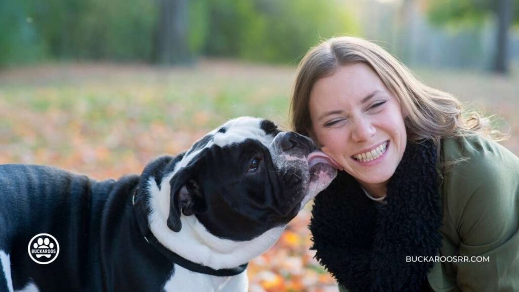 8 ways to prepare your dog for fireworks on the 4th of July, 2022. 8 safe place for dogs during fireworks