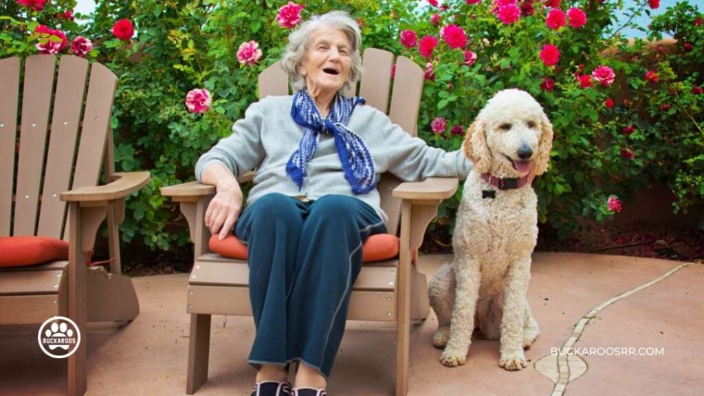 7 Interesting Facts about Assistance Dogs 3 Assistance Dogs