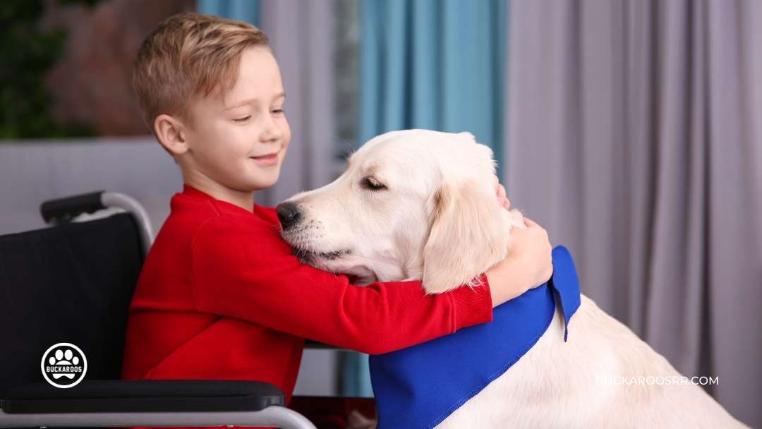 7 Interesting Facts about Assistance Dogs 5 Assistance-Dogs