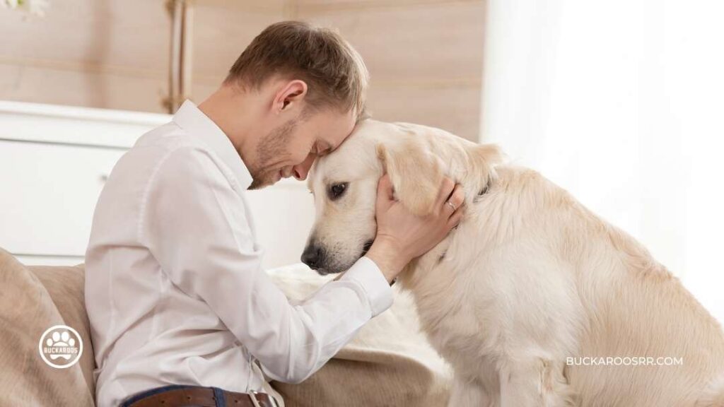 7 Interesting Facts about Assistance Dogs 8 Service dog