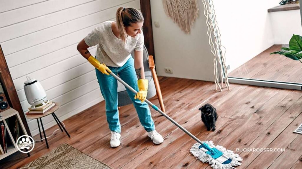 6 Proven Potty Training Tips For Puppies 7 Potty Training Tips For Puppies