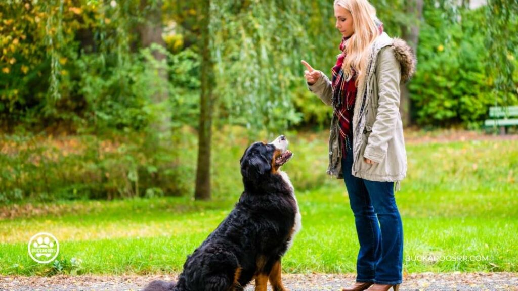 5 MINUTES BASIC DOG TRAINING EXERCISES 5 5 MINUTES BASIC DOG TRAINING EXERCISES