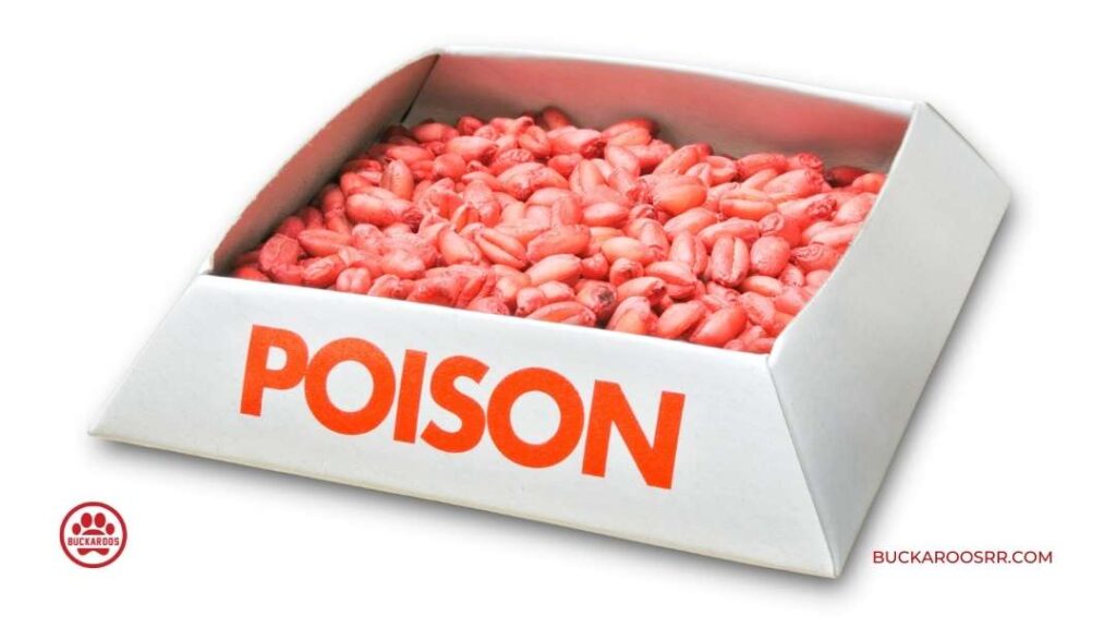 Top 8 Scary Dog Toxins You Need To Avoid 2 8 Scary Dog Toxins