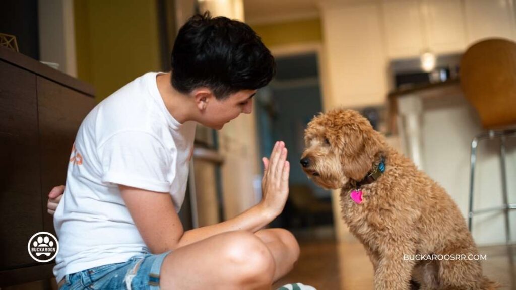 What Age Should We Start Training Puppies: Complete Training Schedule 2 What Age Should We Start Training Puppies