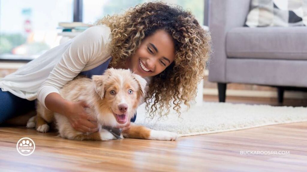 What Age Should We Start Training Puppies: Complete Training Schedule 3 What Age Should We Start Training Puppies