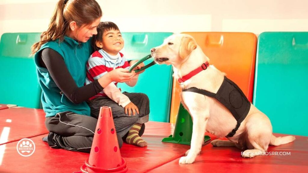 Prepare Your Dog For Holiday Guest 1 Prepare Your Dog For Holiday Guest