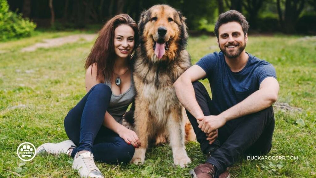 Prepare Your Dog For Holiday Guest 4 Prepare Your Dog