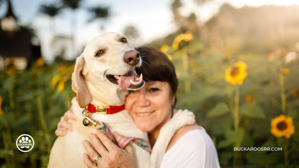 5 Amazing Tricks For Treat Your Dog Will Love 1 Tricks For Treat