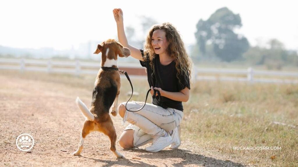 Why Positive Reinforcement Will Work For Your Dog!! 2 Why Positive Reinforcement Will Work For Your Dog