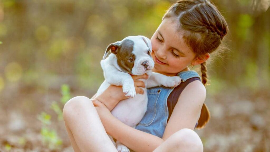 Cost Of Dog Ownership 1 Cost Of Dog Ownership