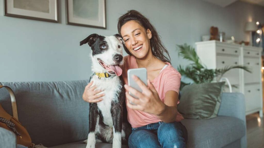 Cost Of Dog Ownership 7 dog boarding