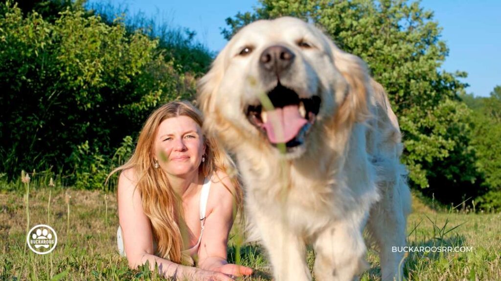 THE REASONS WHY DOGS JUMP ON PEOPLE 1 Stop Dogs From Jumping