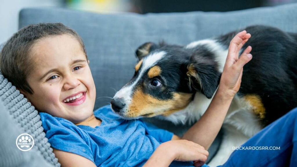 THE REASONS WHY DOGS JUMP ON PEOPLE 2 WHY DOGS JUMP ON PEOPLE