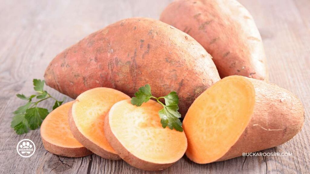 Three Super Healthy Humans Foods Dogs Can Eat 3 Sweet Potatoes