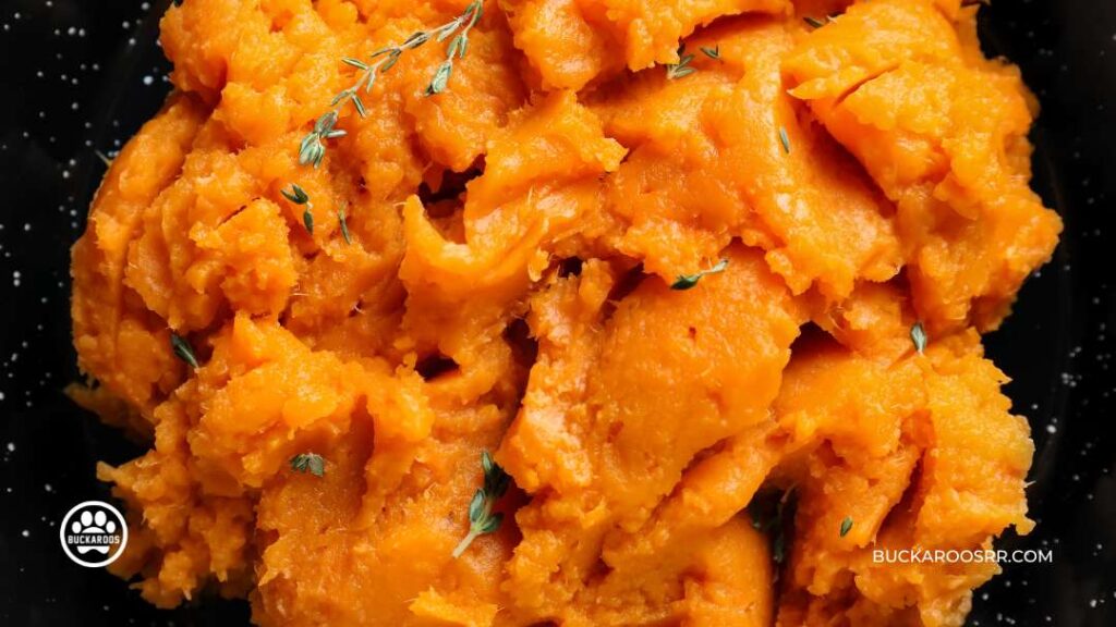 Three Super Healthy Humans Foods Dogs Can Eat 4 Sweet Potatoes