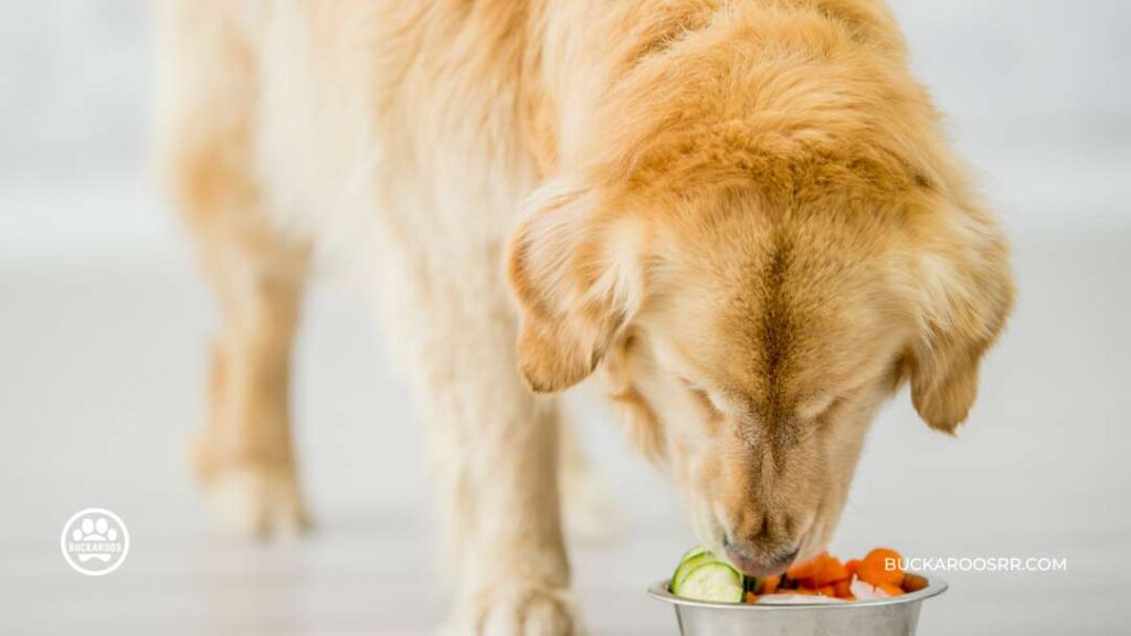 Three Super Healthy Humans Foods Dogs Can Eat 6 Carrots Good For Dogs To Eat