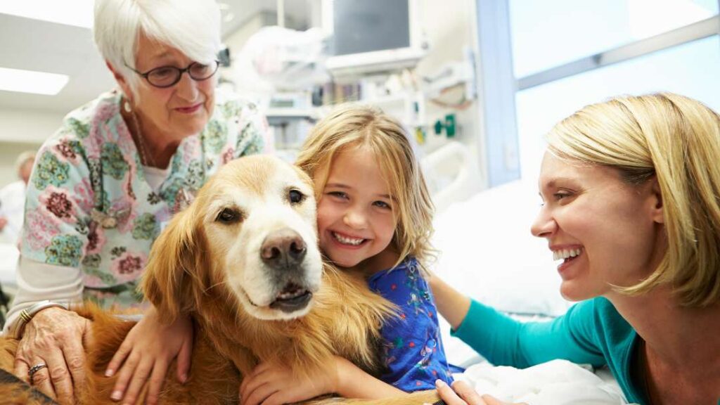 Therapy Dogs