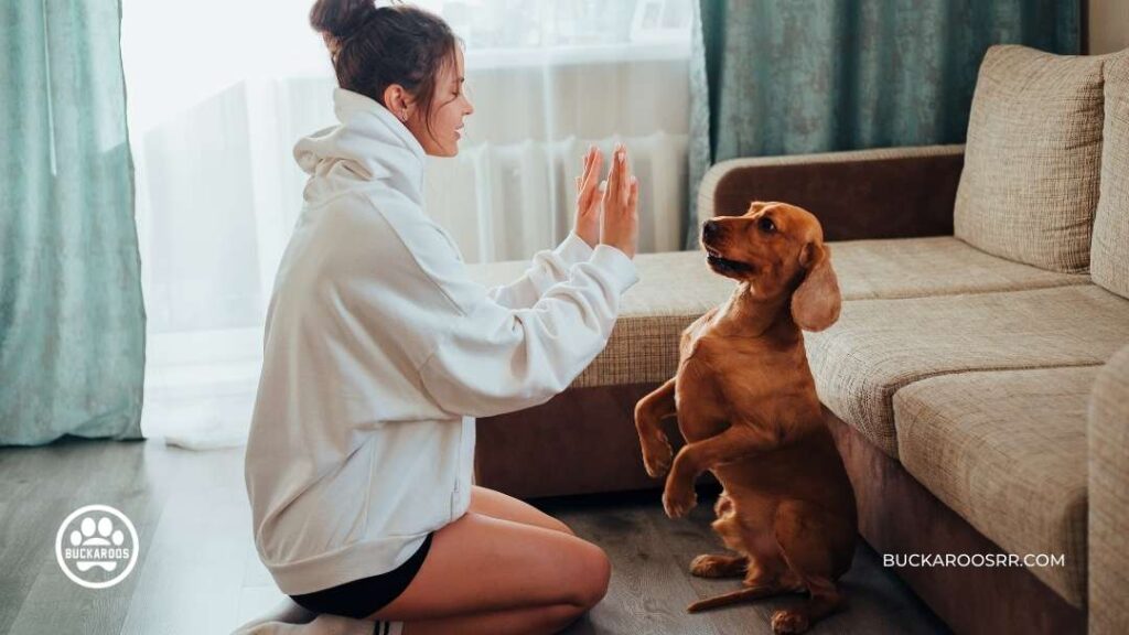 5 Simple Hacks For Holiday Dog Manners 5 holiday