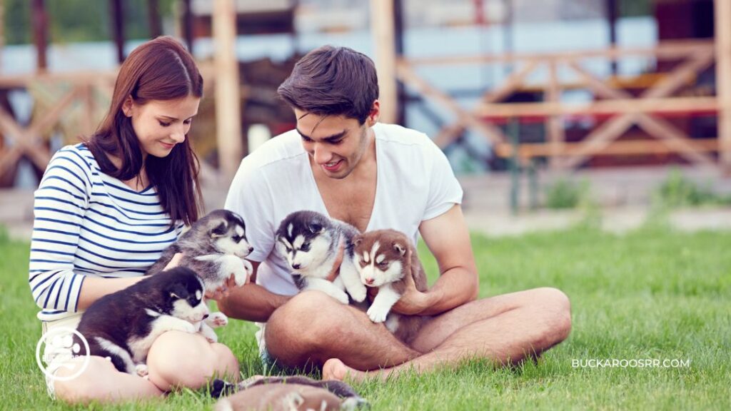 The 7 Rules Of Socializing Your Puppy Properly 1 Socializing Your Puppy