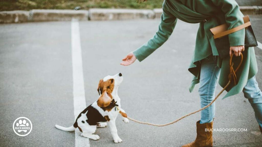 The Complete Puppy Care Guide: From Birth To Adolescence 5 Train Your Puppy
