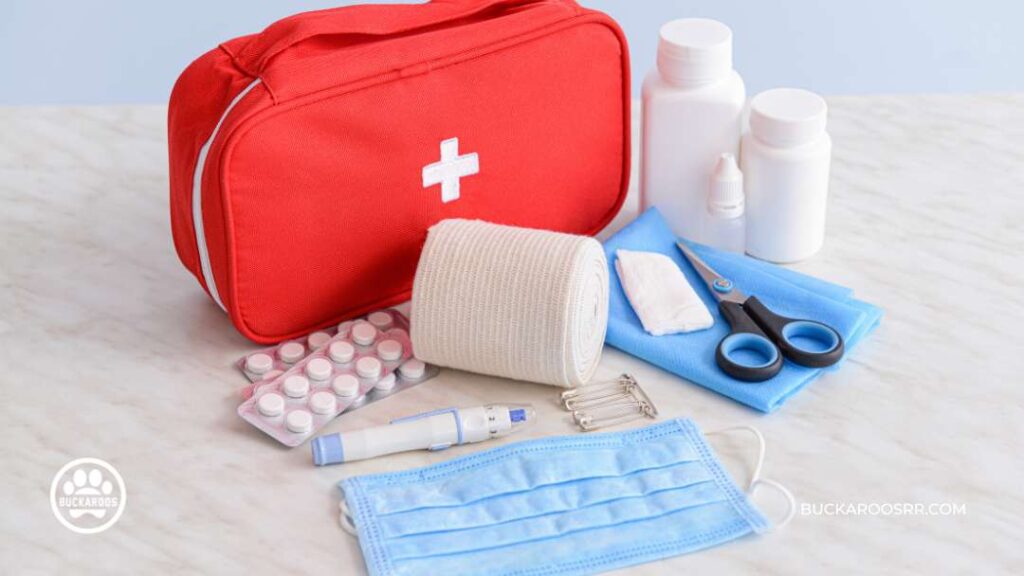 The Complete Puppy Care Guide: From Birth To Adolescence 8 First Aid For Your Puppy