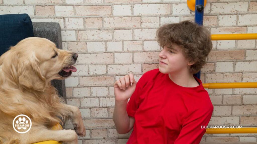 Dog Aggression: Behavior Training for Aggressive Dogs 2 Dog Aggression