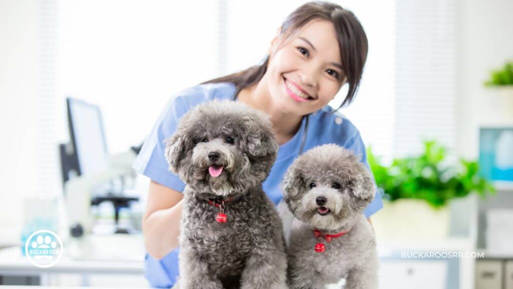 7 Heartworm Symptoms in Dogs and Their Treatment 5 Heartworm Symptoms